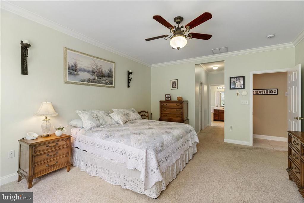 10 FITZGERALD LANE