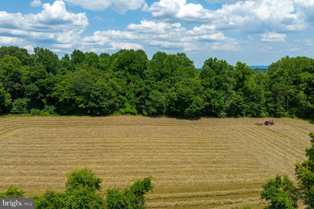 475 SERGEANTSVILLE ROAD