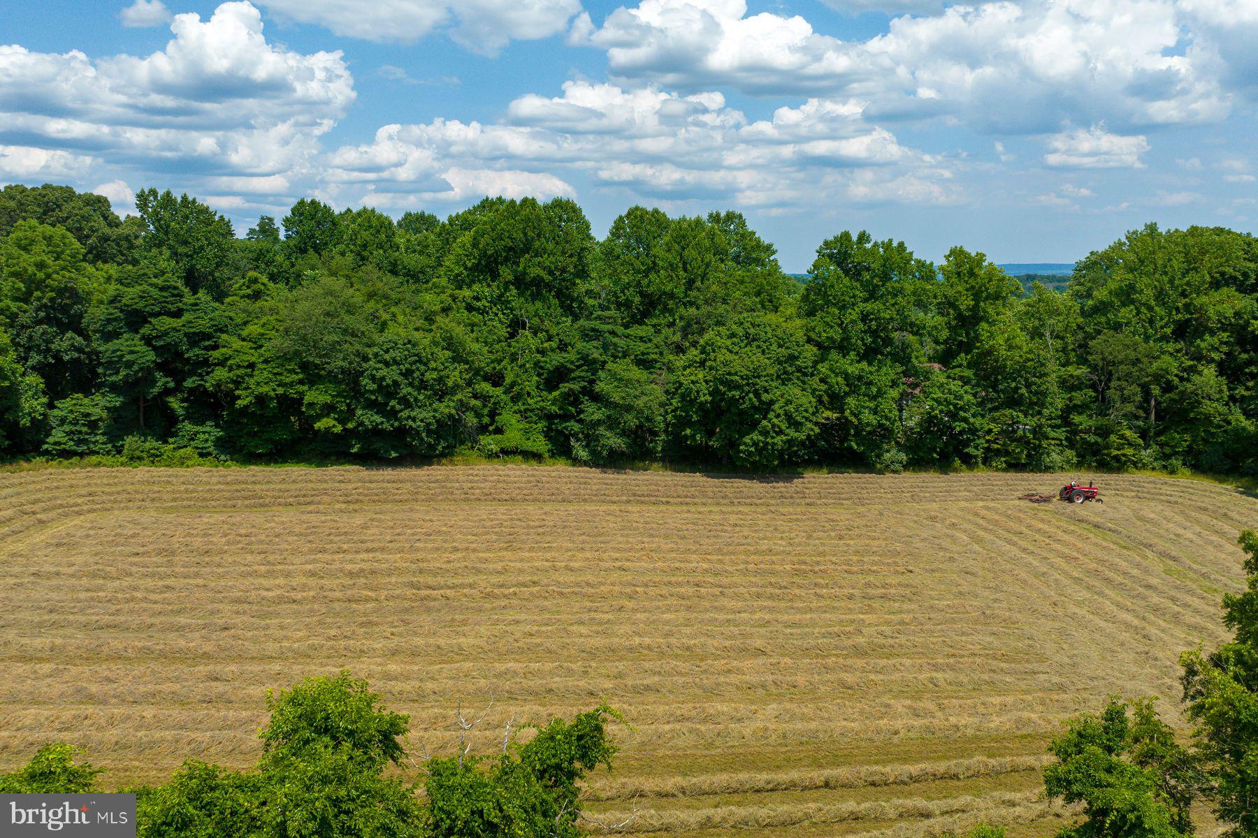 475 SERGEANTSVILLE ROAD