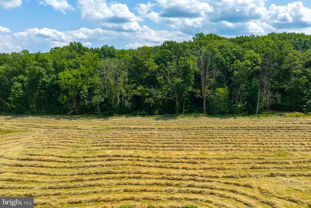 475 SERGEANTSVILLE ROAD