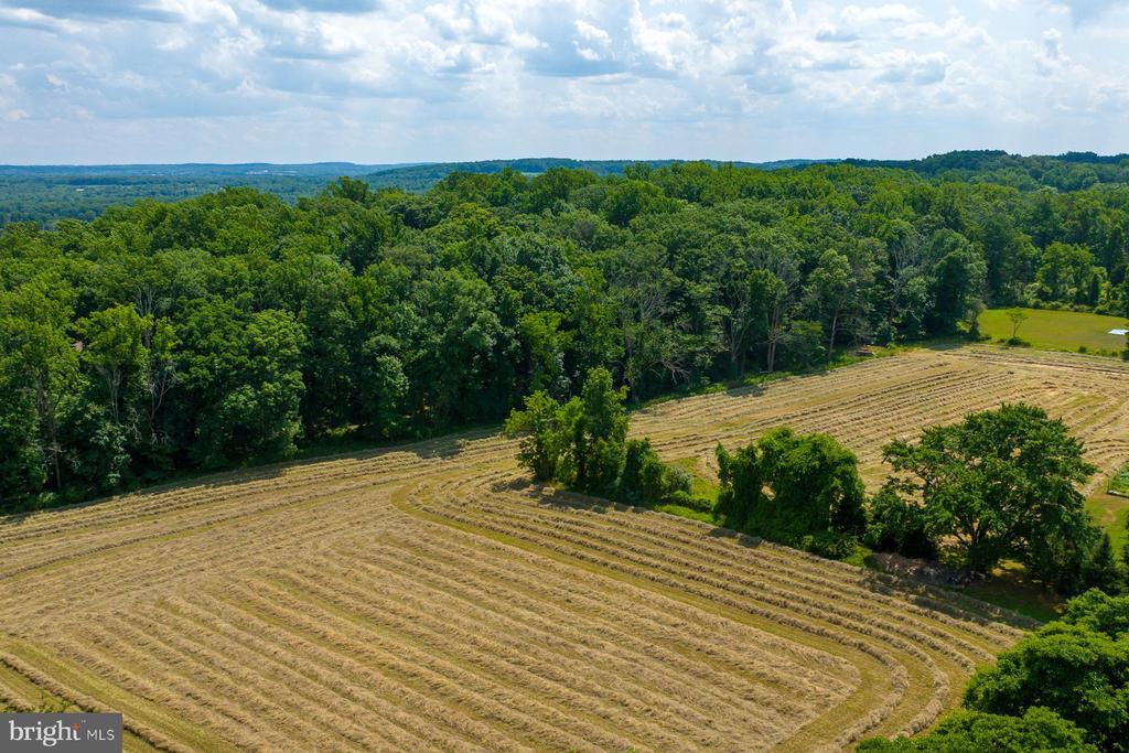 475 SERGEANTSVILLE ROAD