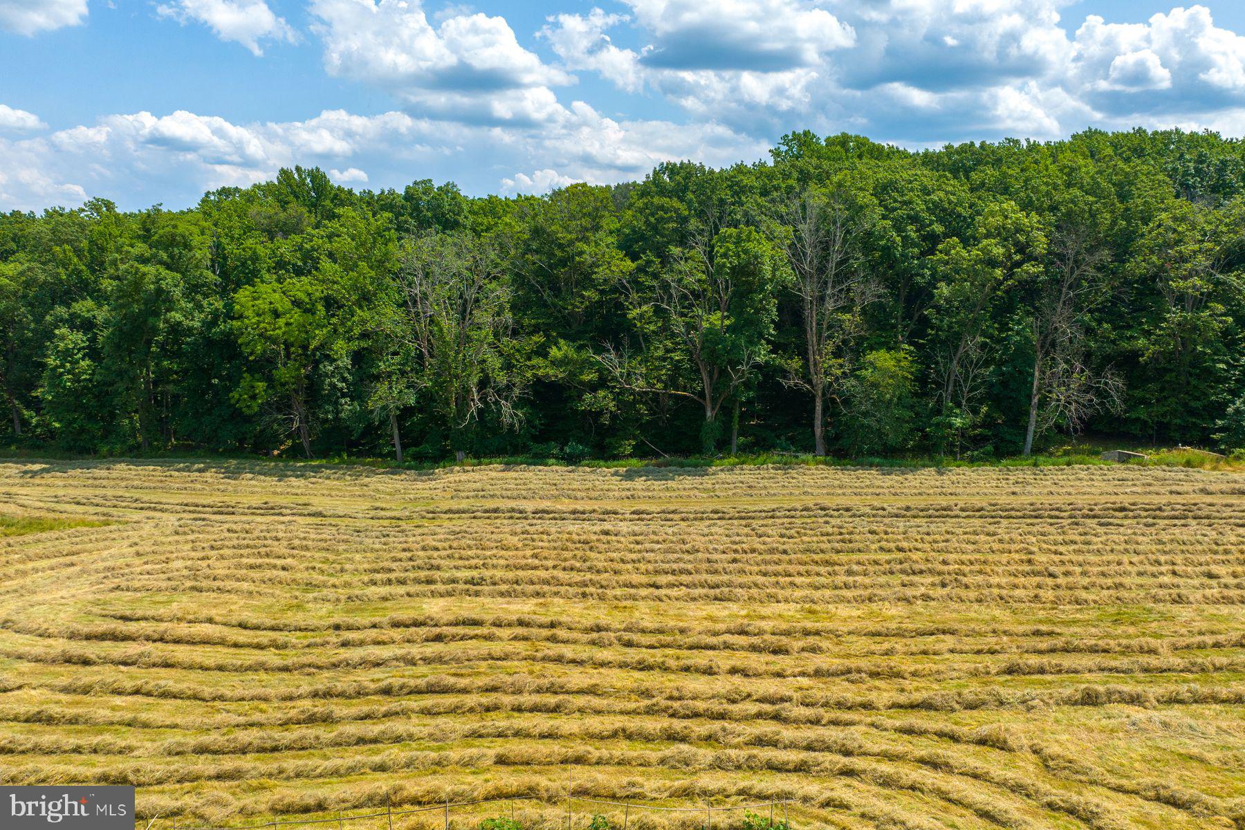 475 SERGEANTSVILLE ROAD
