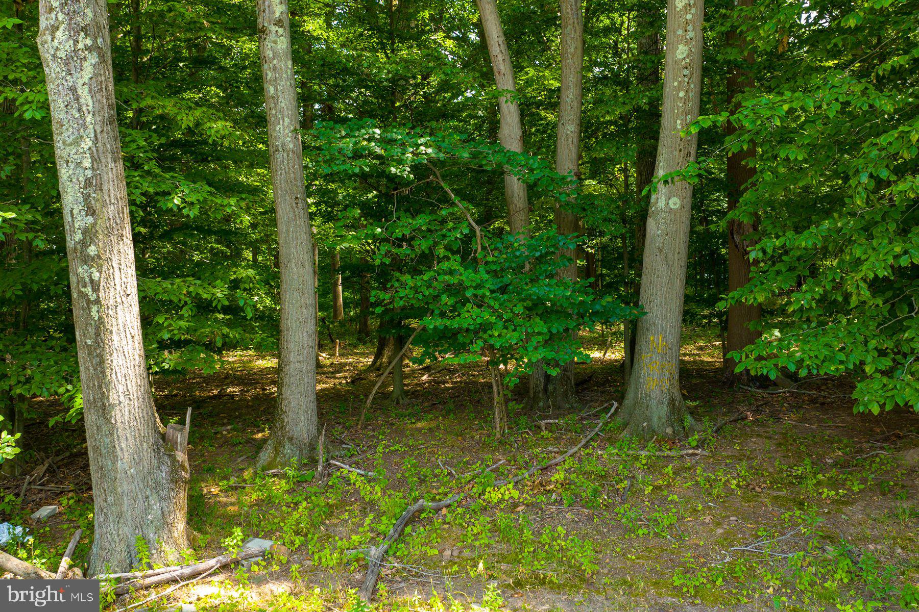 489 SERGEANTSVILLE ROAD