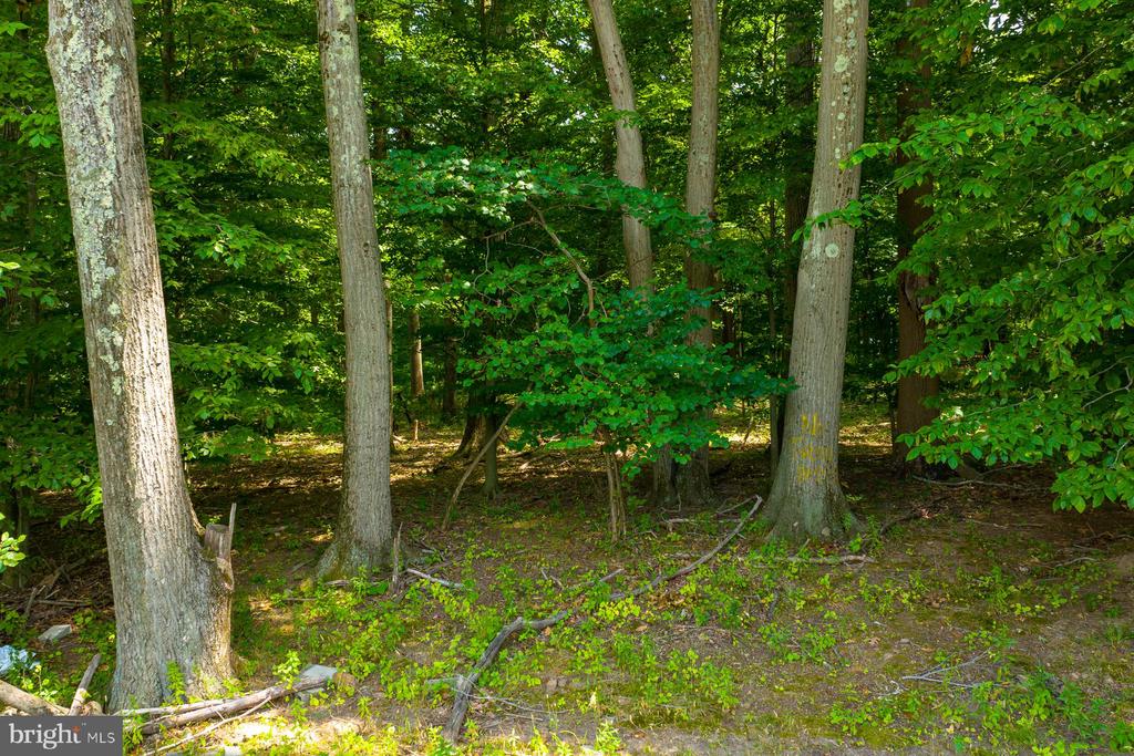 489 SERGEANTSVILLE ROAD