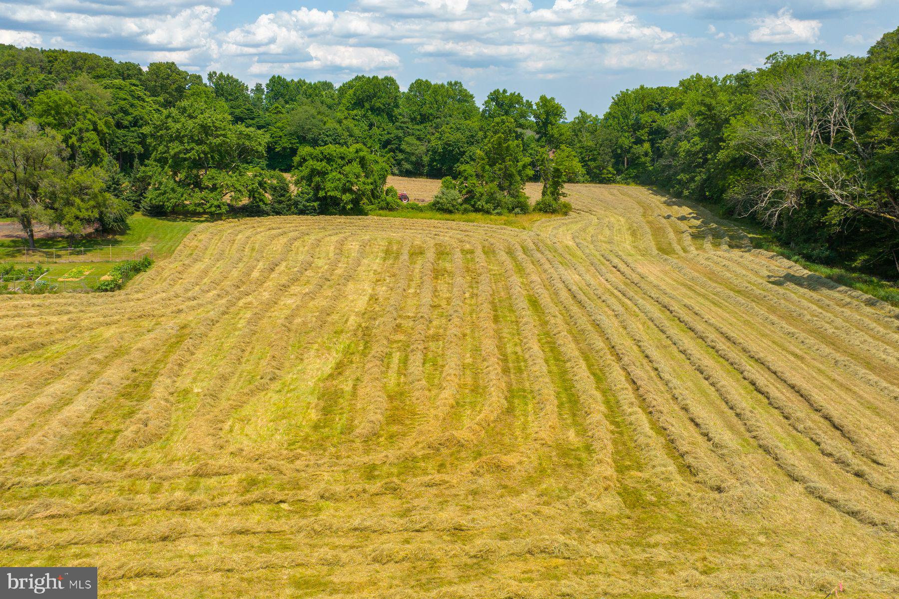 489 SERGEANTSVILLE ROAD