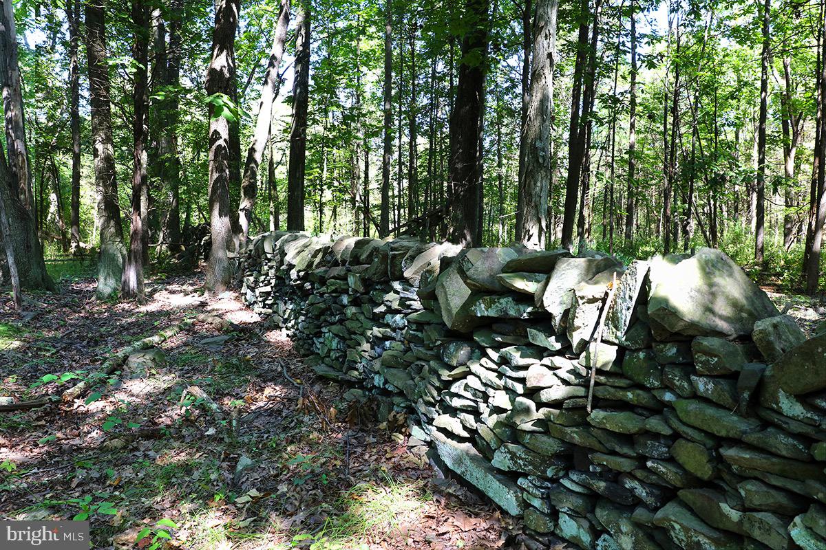 81 UPPER CREEK