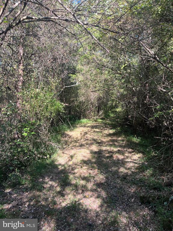 81 UPPER CREEK