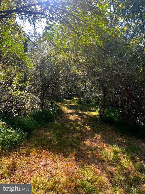 81 UPPER CREEK