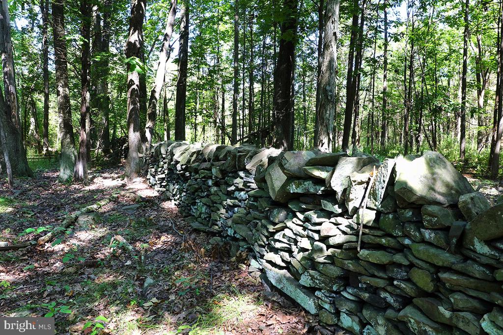 81 UPPER CREEK