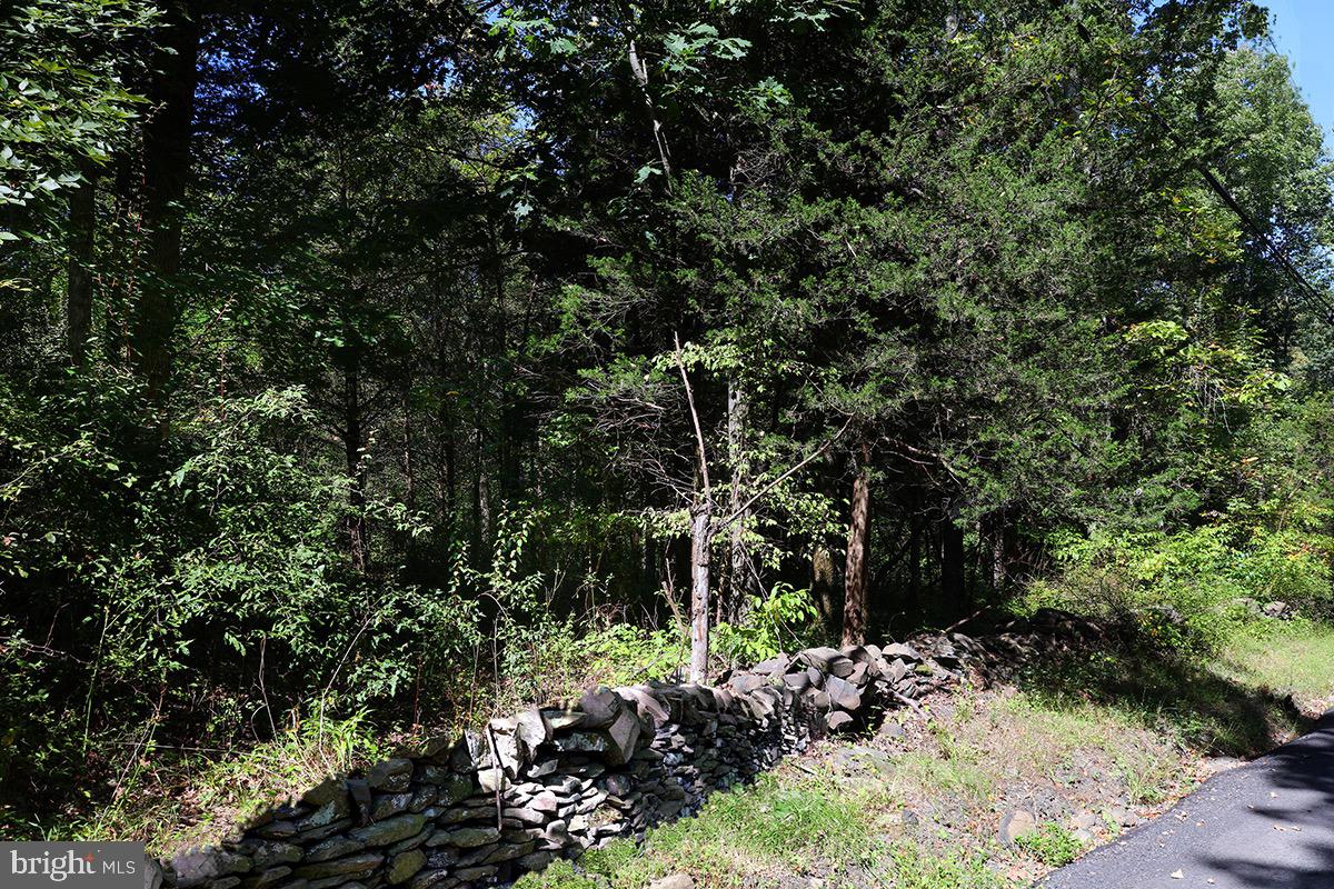 81 UPPER CREEK