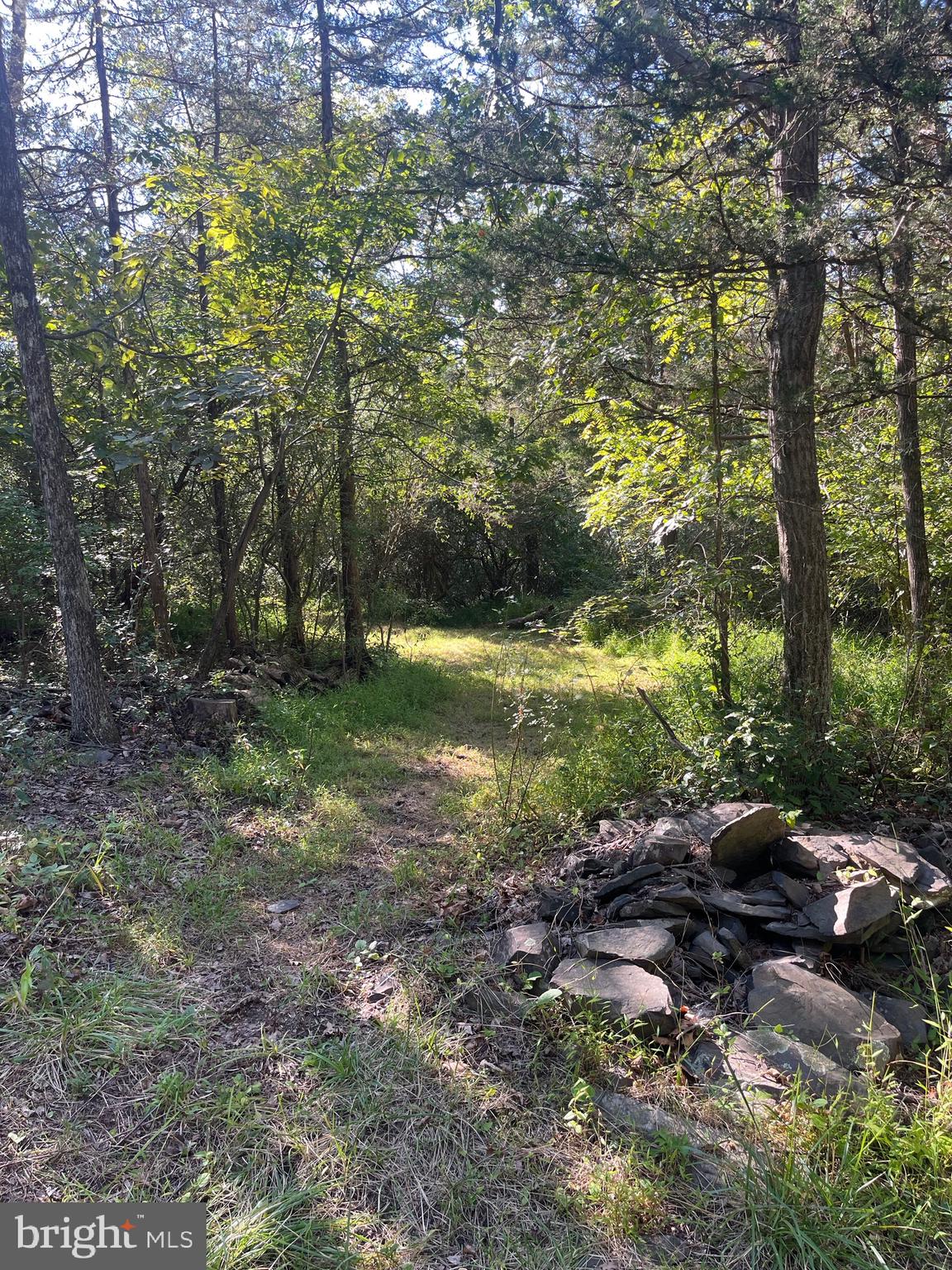 81 UPPER CREEK