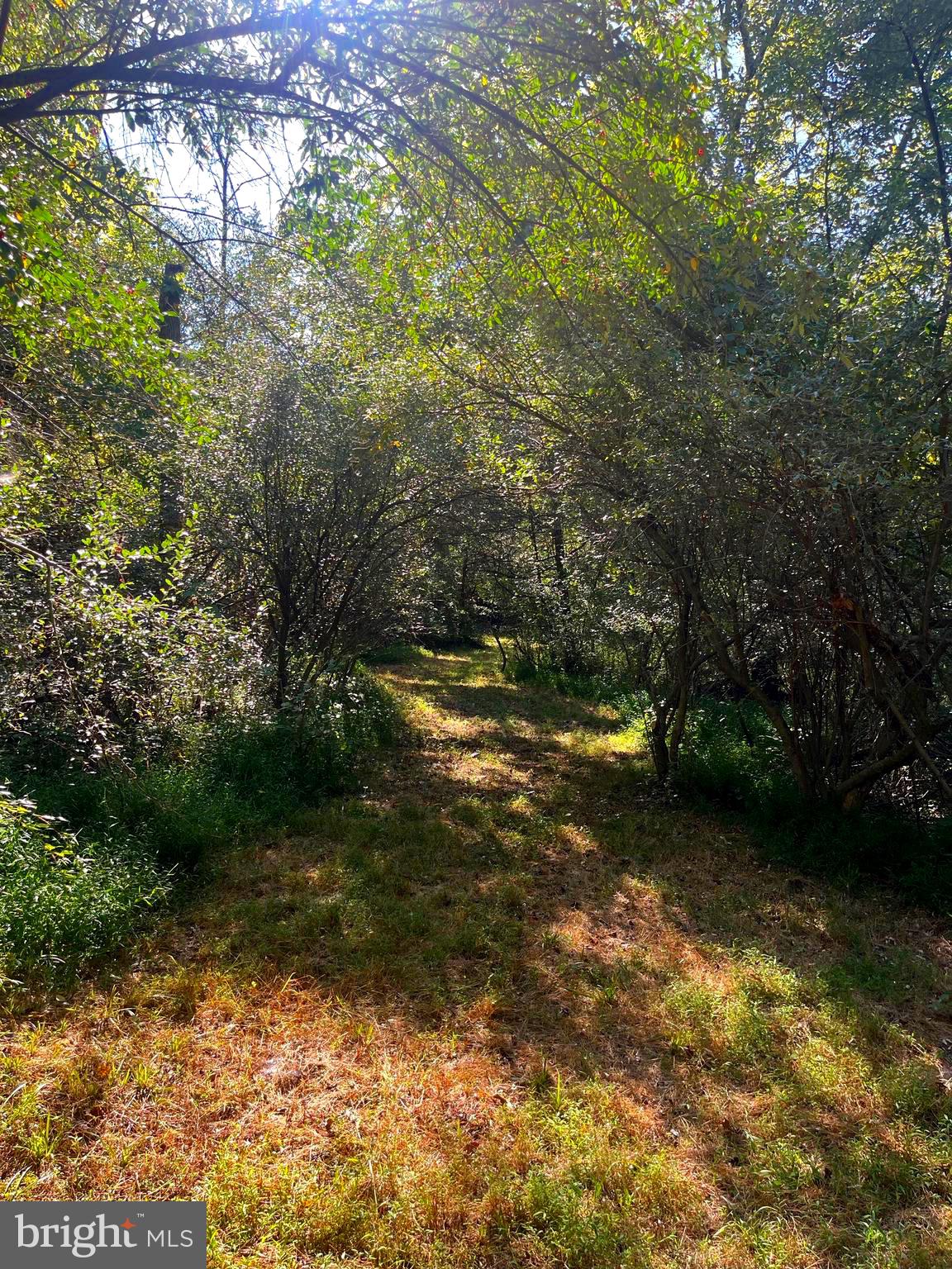 81 UPPER CREEK