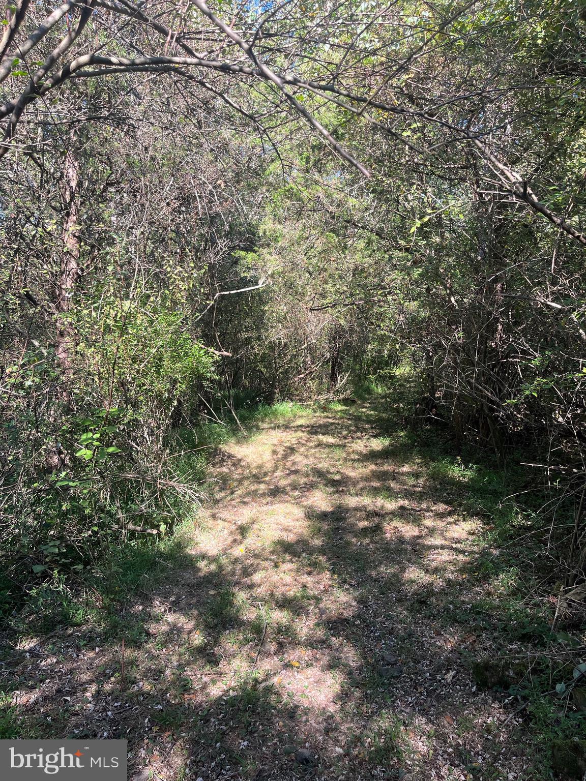 81 UPPER CREEK