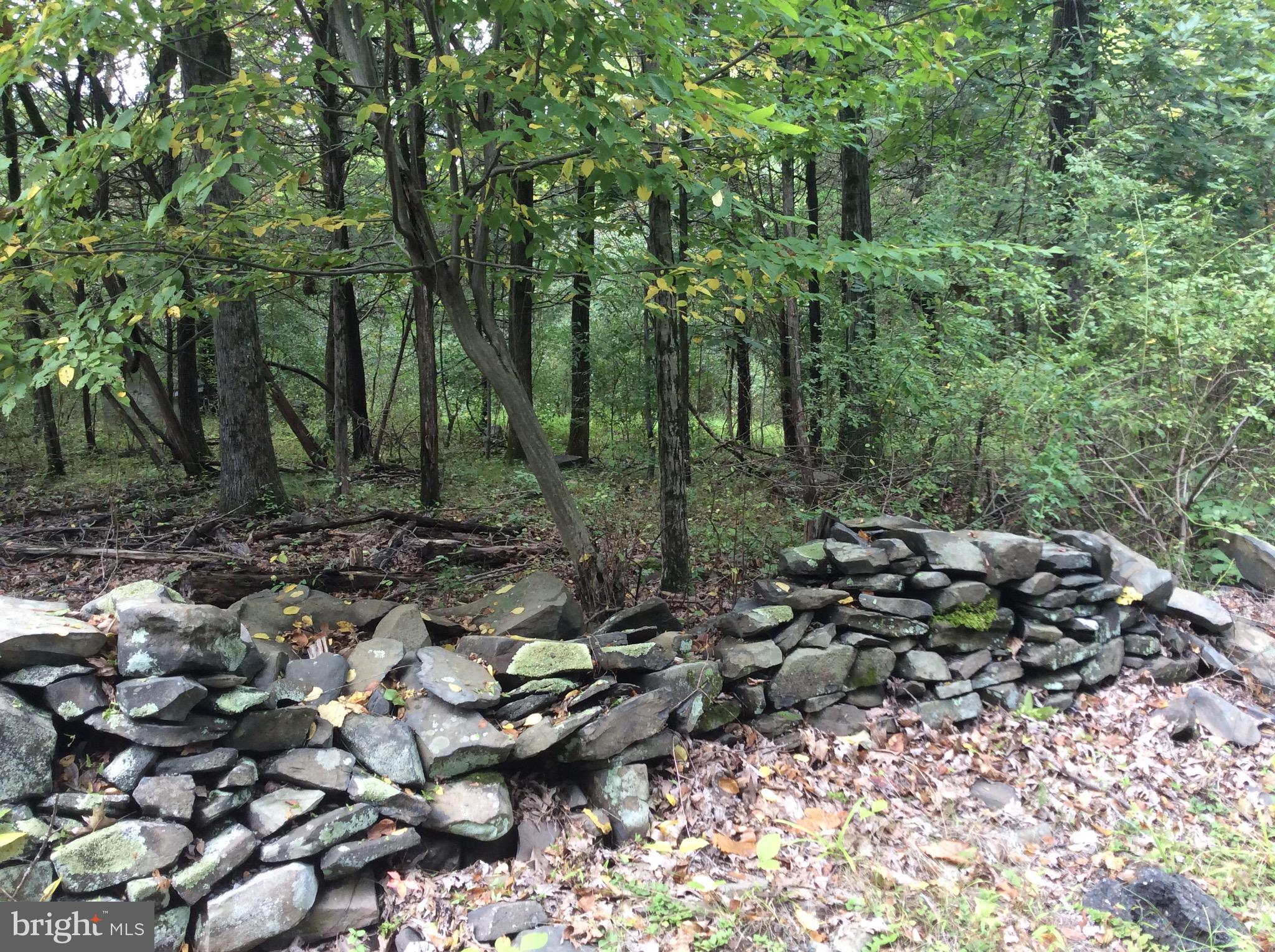 81 UPPER CREEK