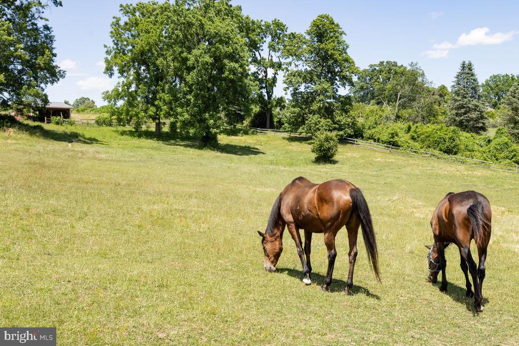 65 BROOKVILLE HOLLOW ROAD