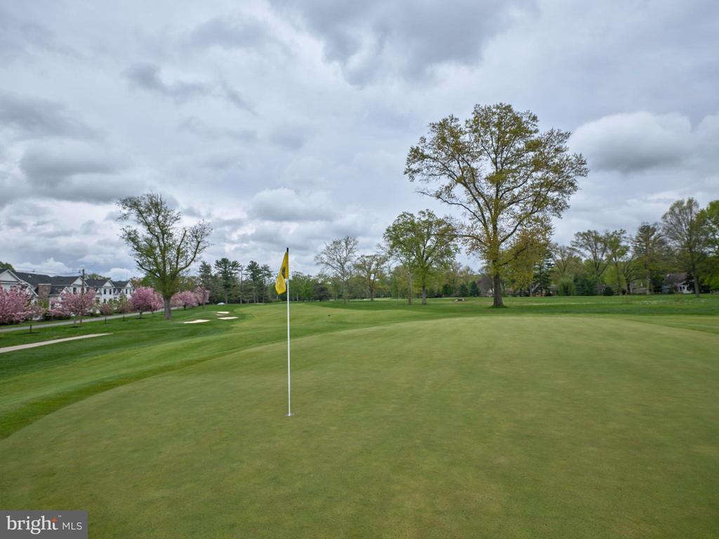 14 DOGLEG LANE