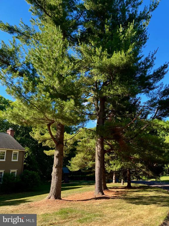 129 FOXCROFT DRIVE