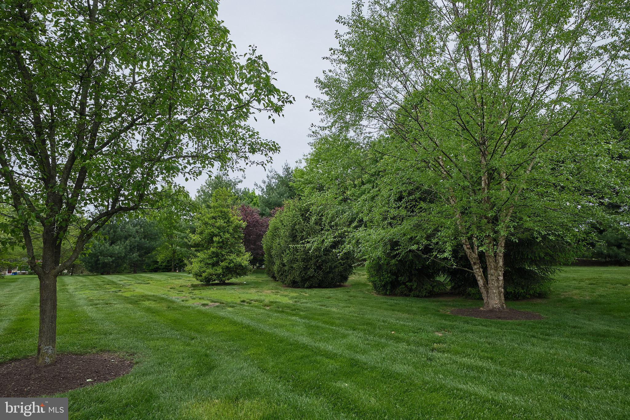 194 WILLOW DRIVE