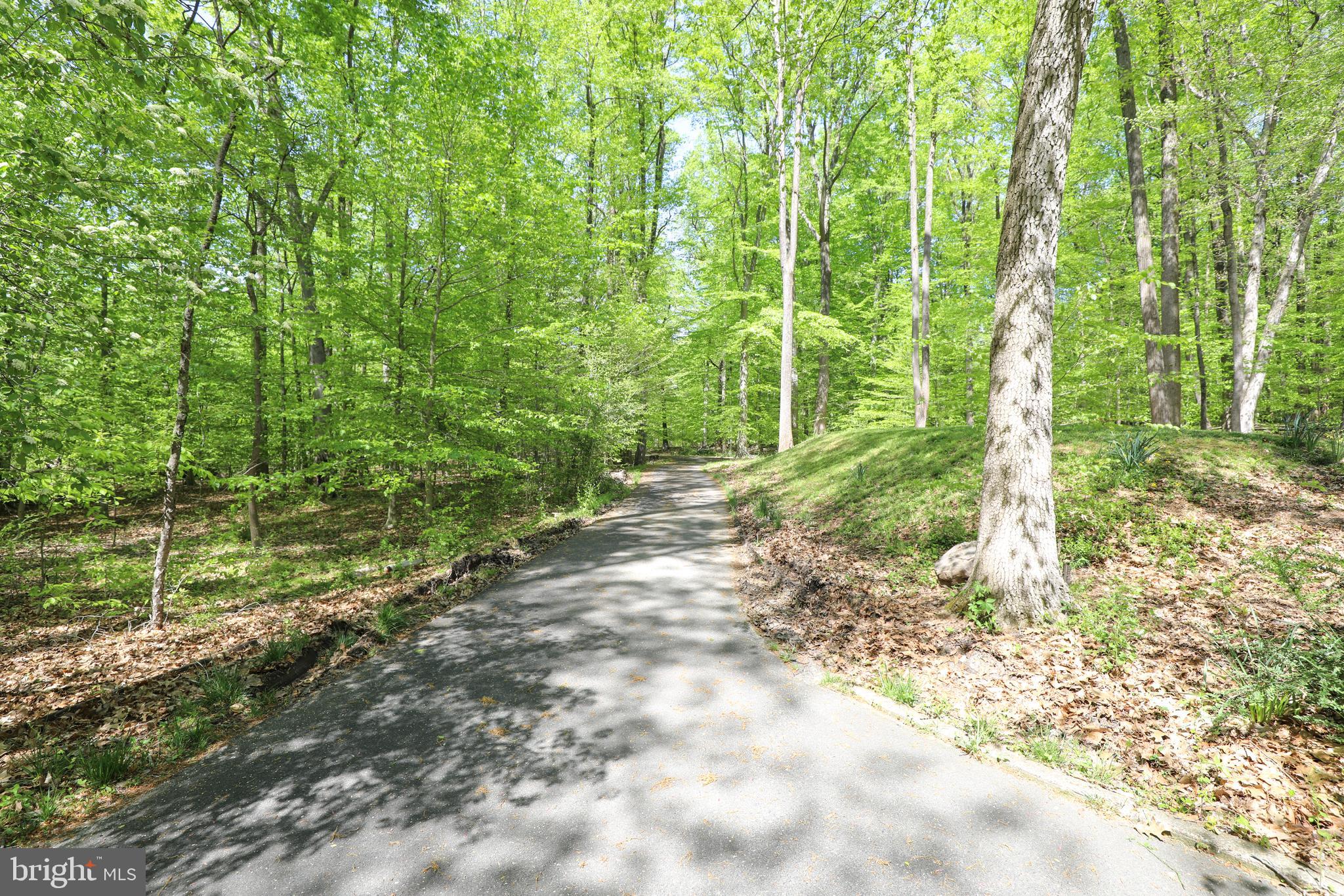 2054 HOLICONG ROAD