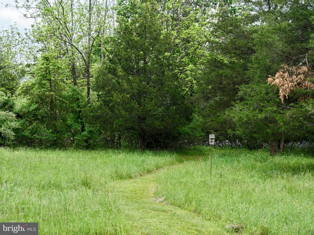7 HAYDEN LANE