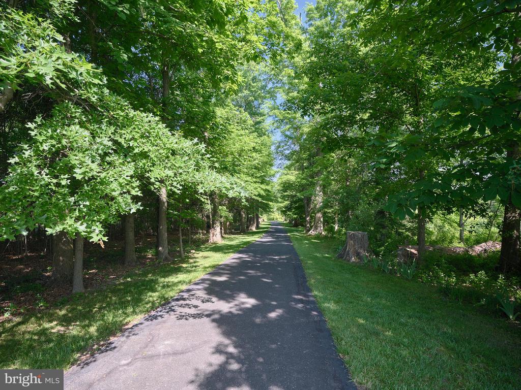 1047 ARBOUR LANE