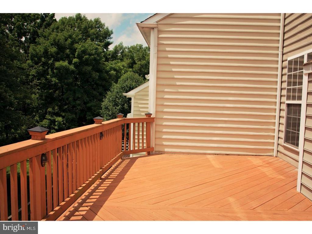 13 AVALON COURT