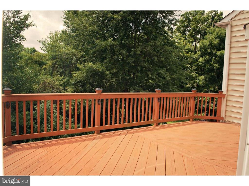 13 AVALON COURT