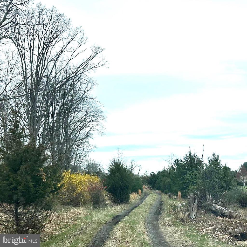 565 CAFFERTY ROAD