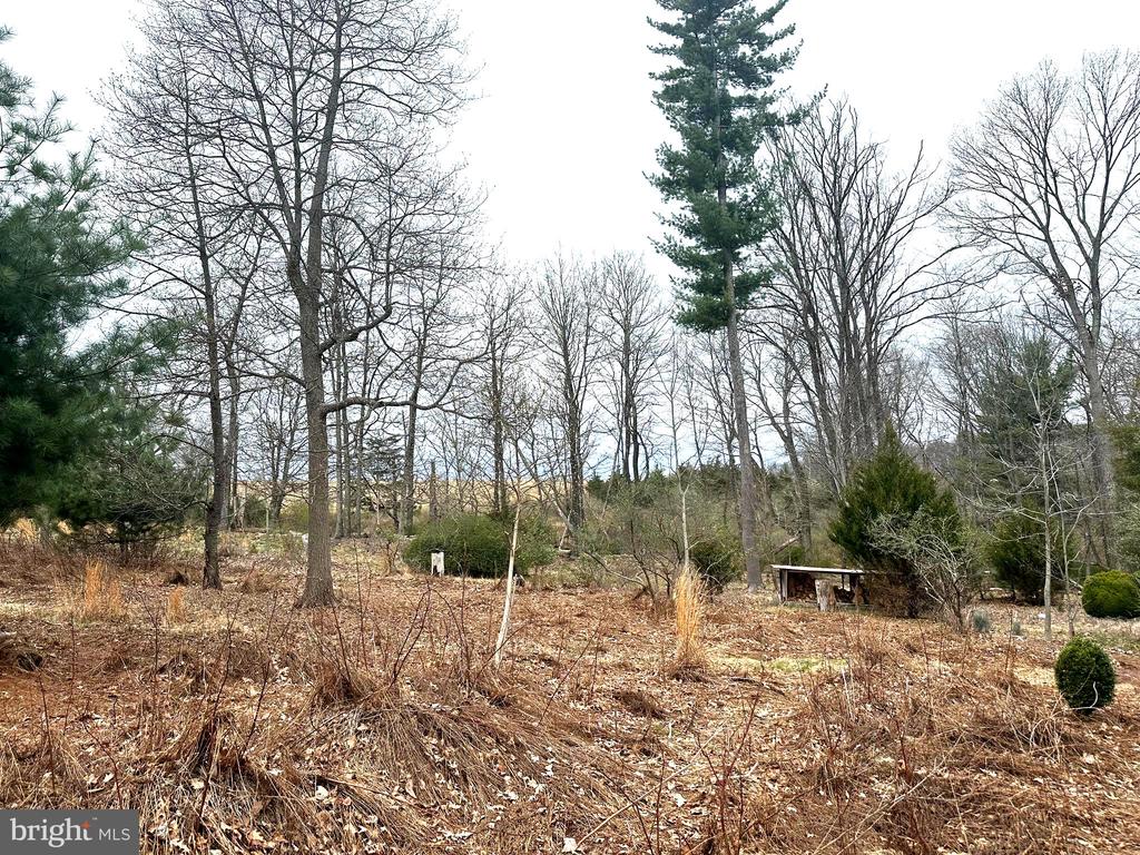 565 CAFFERTY ROAD