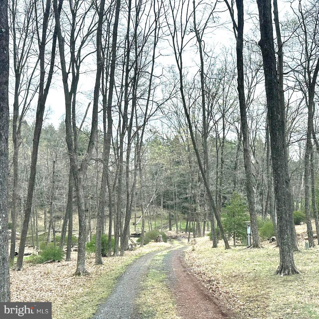 565 CAFFERTY ROAD