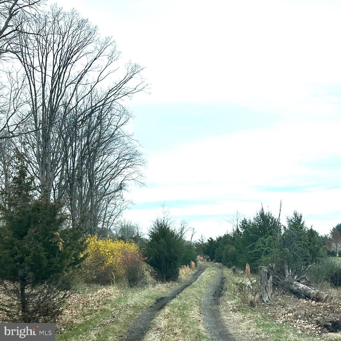 565 CAFFERTY ROAD
