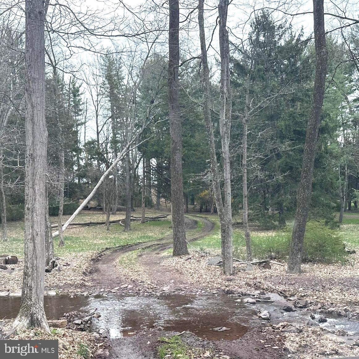 565 CAFFERTY ROAD
