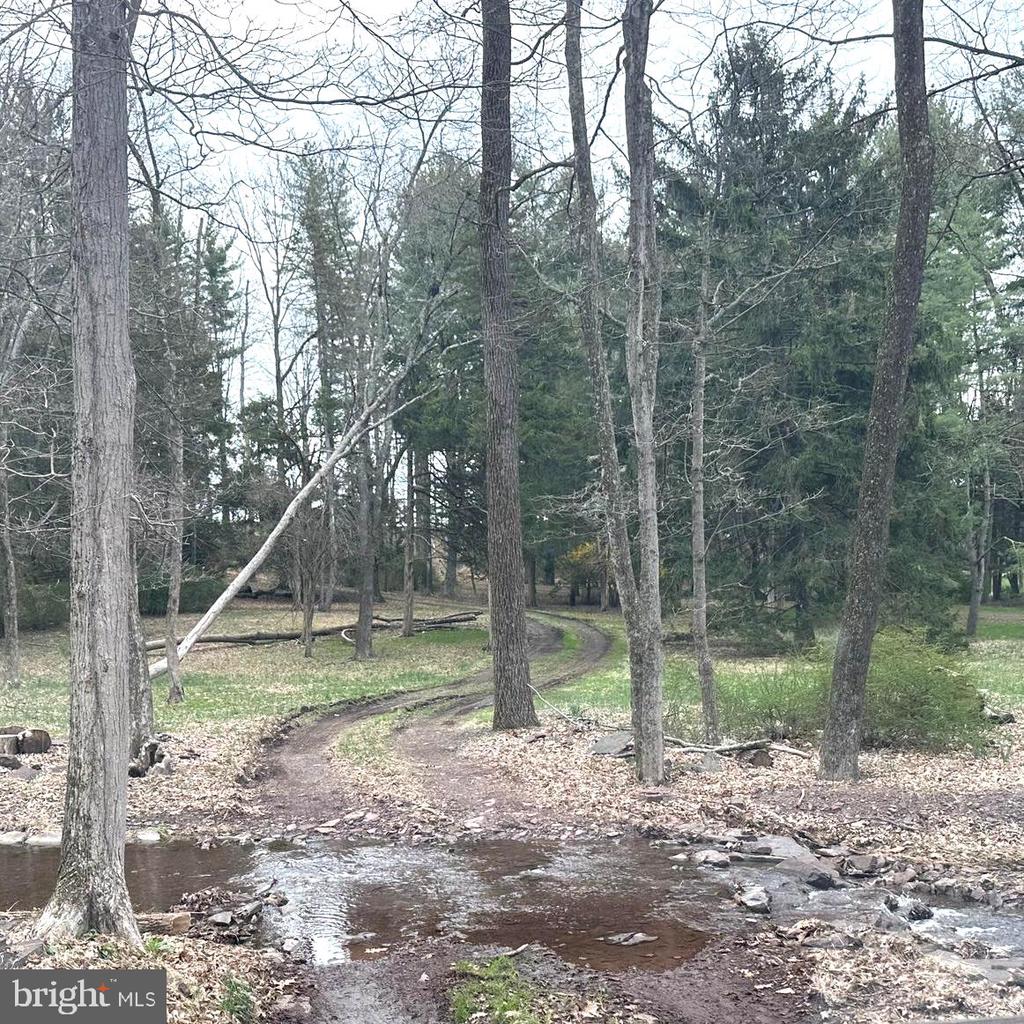 565 CAFFERTY ROAD