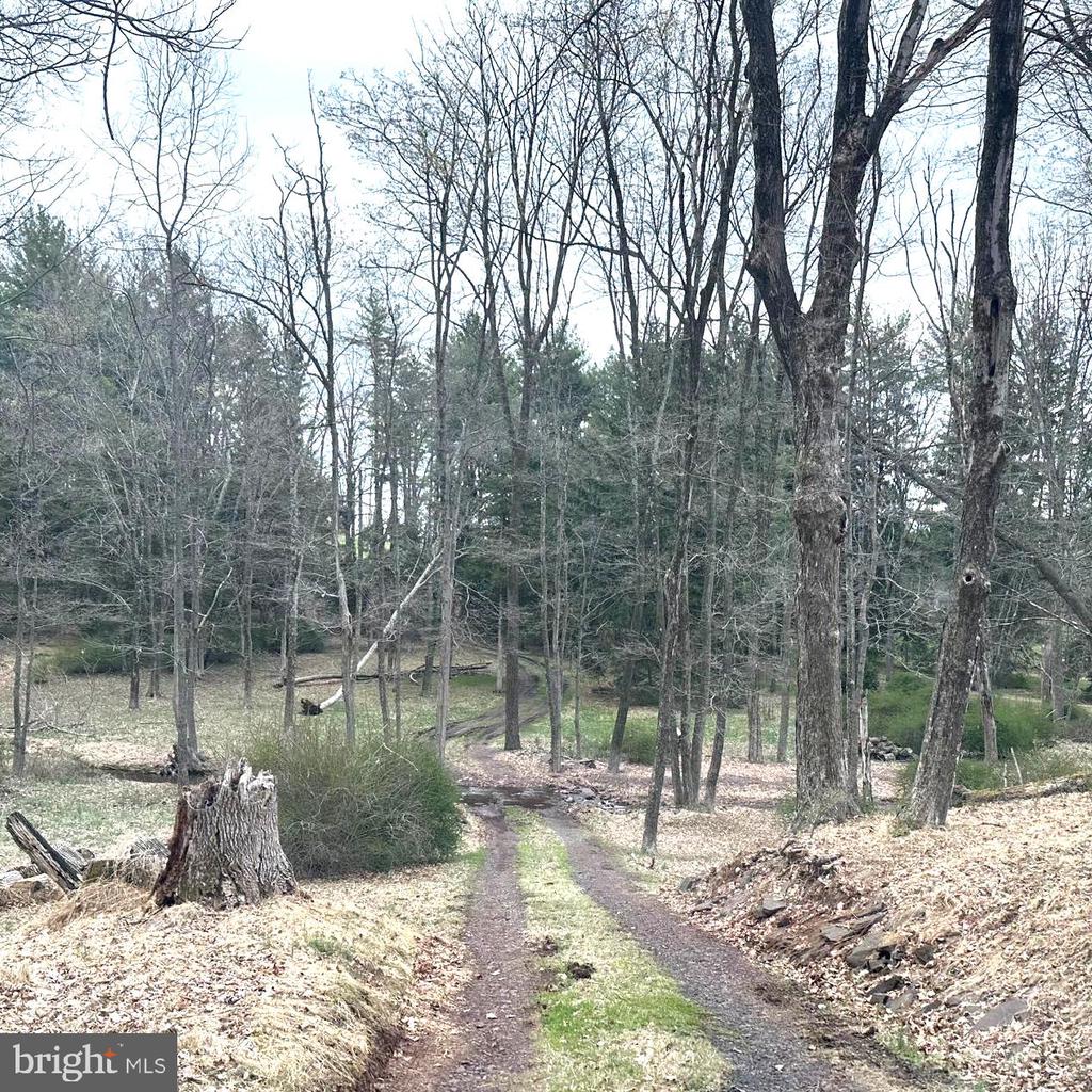 565 CAFFERTY ROAD