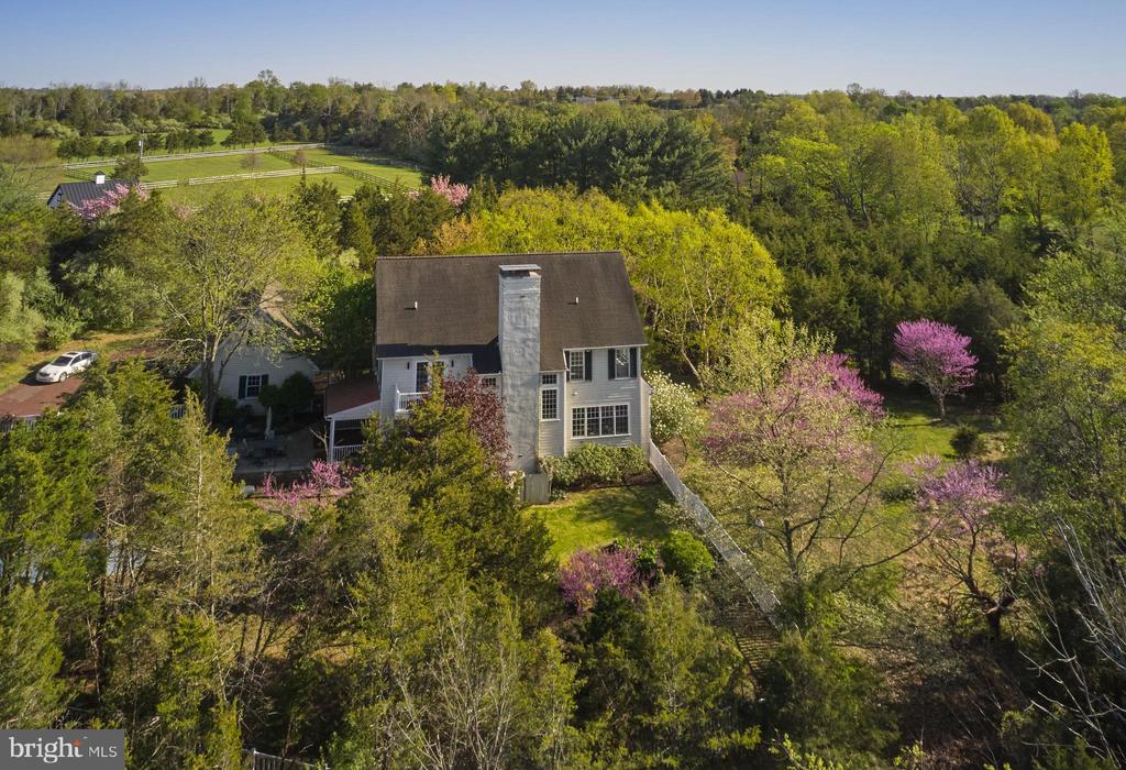 393 HOLLOW HORN ROAD