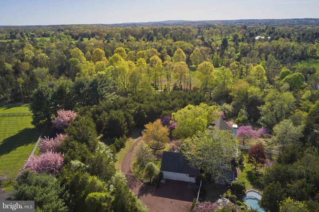 393 HOLLOW HORN ROAD