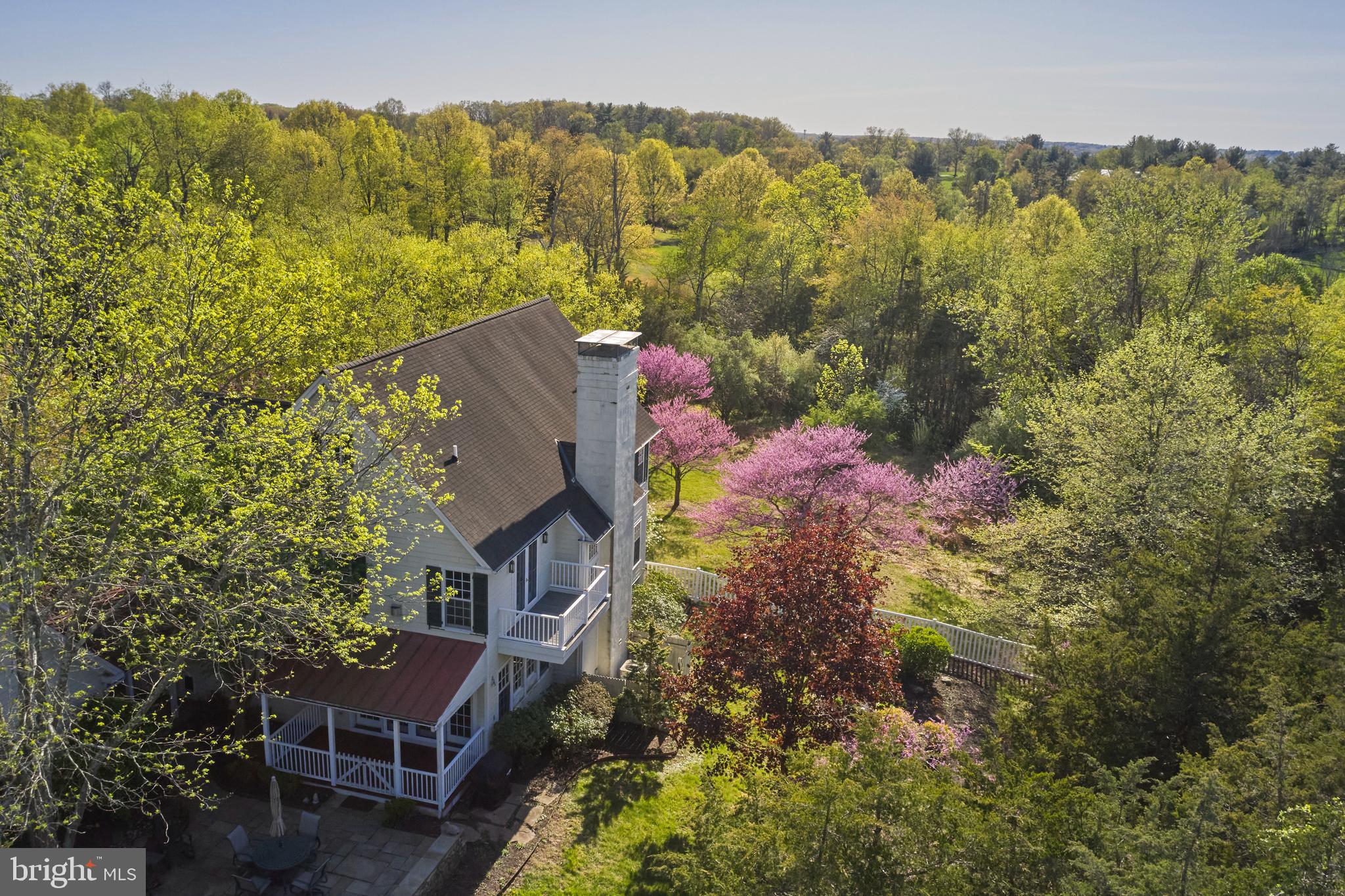 393 HOLLOW HORN ROAD