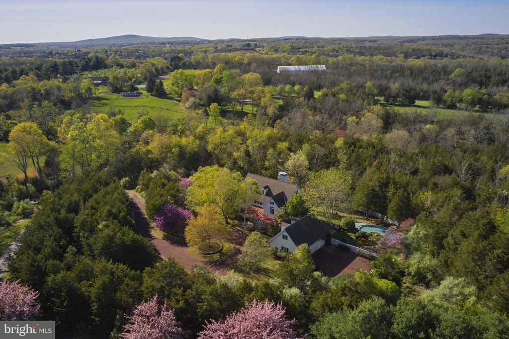 393 HOLLOW HORN ROAD