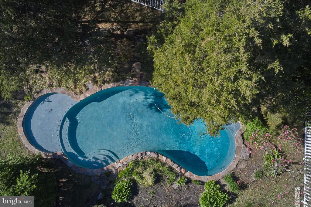 393 HOLLOW HORN ROAD