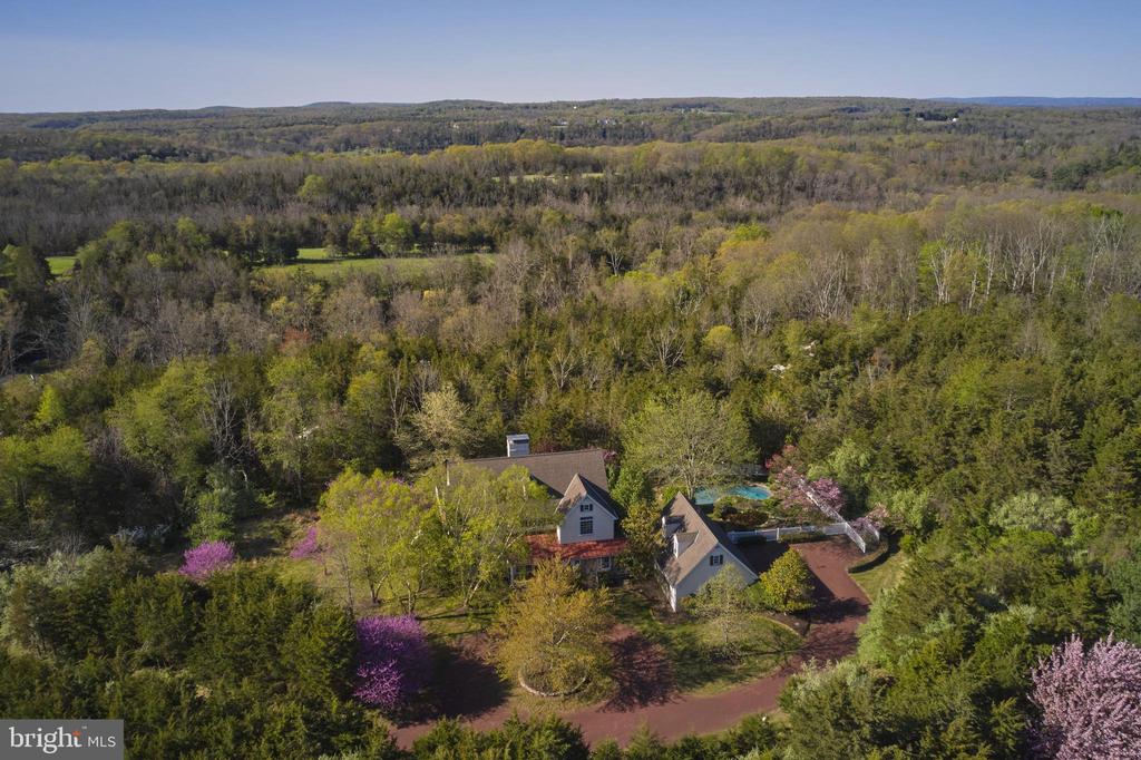 393 HOLLOW HORN ROAD