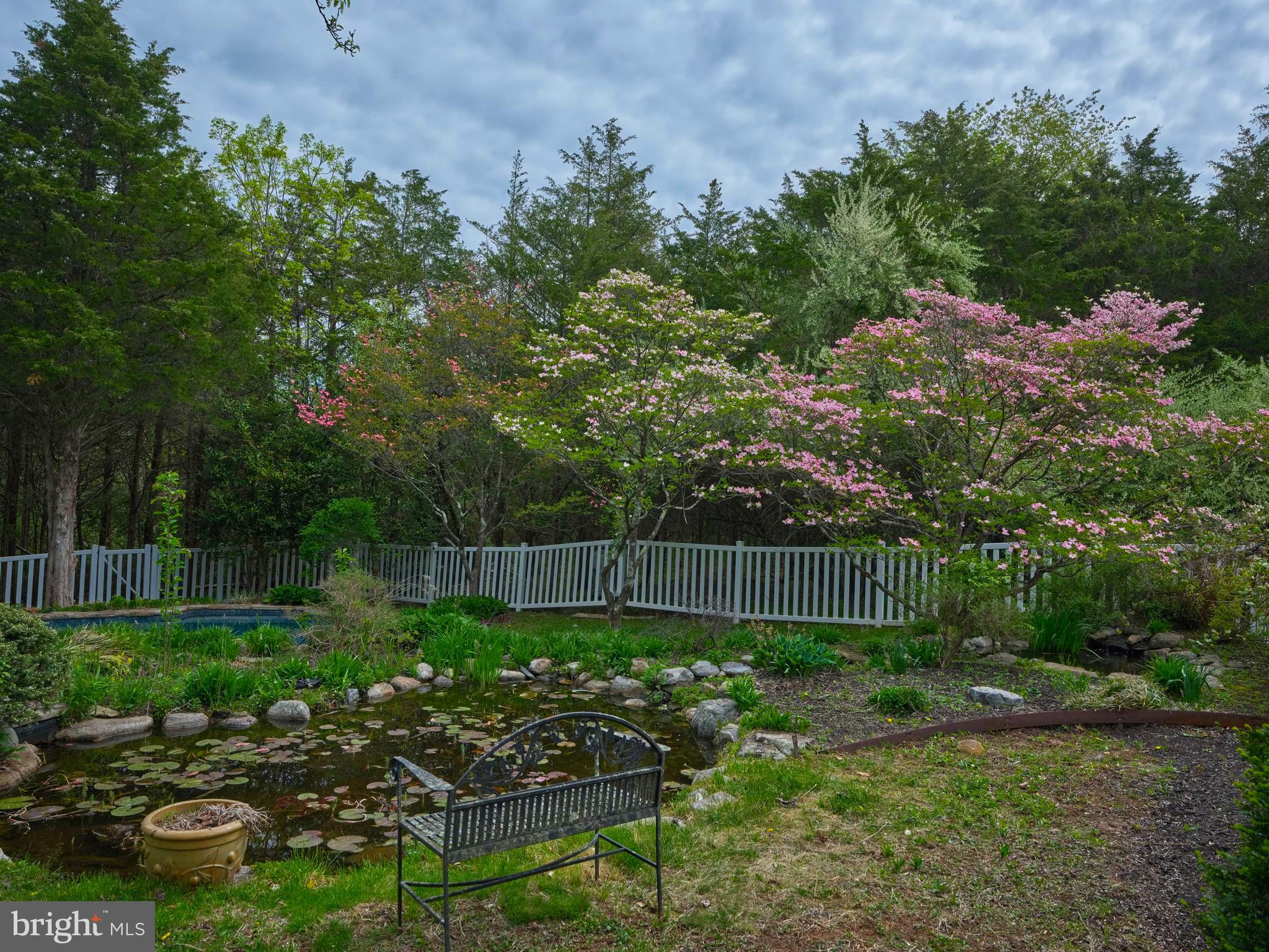 393 HOLLOW HORN ROAD