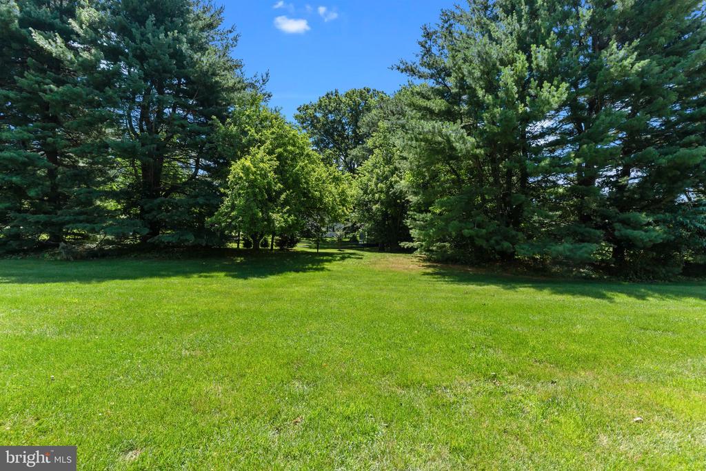 31 VIOLET LANE