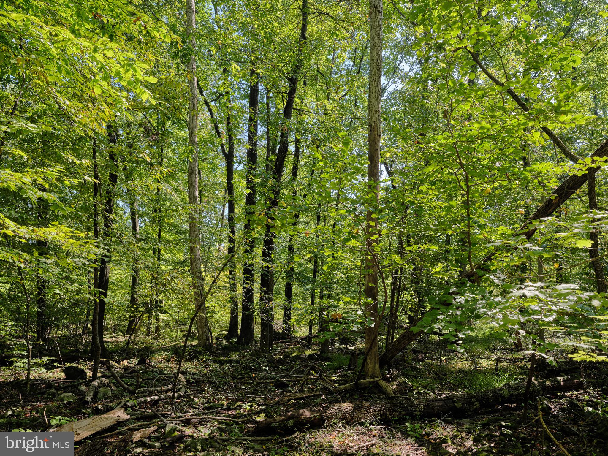 2795 HILL ROAD