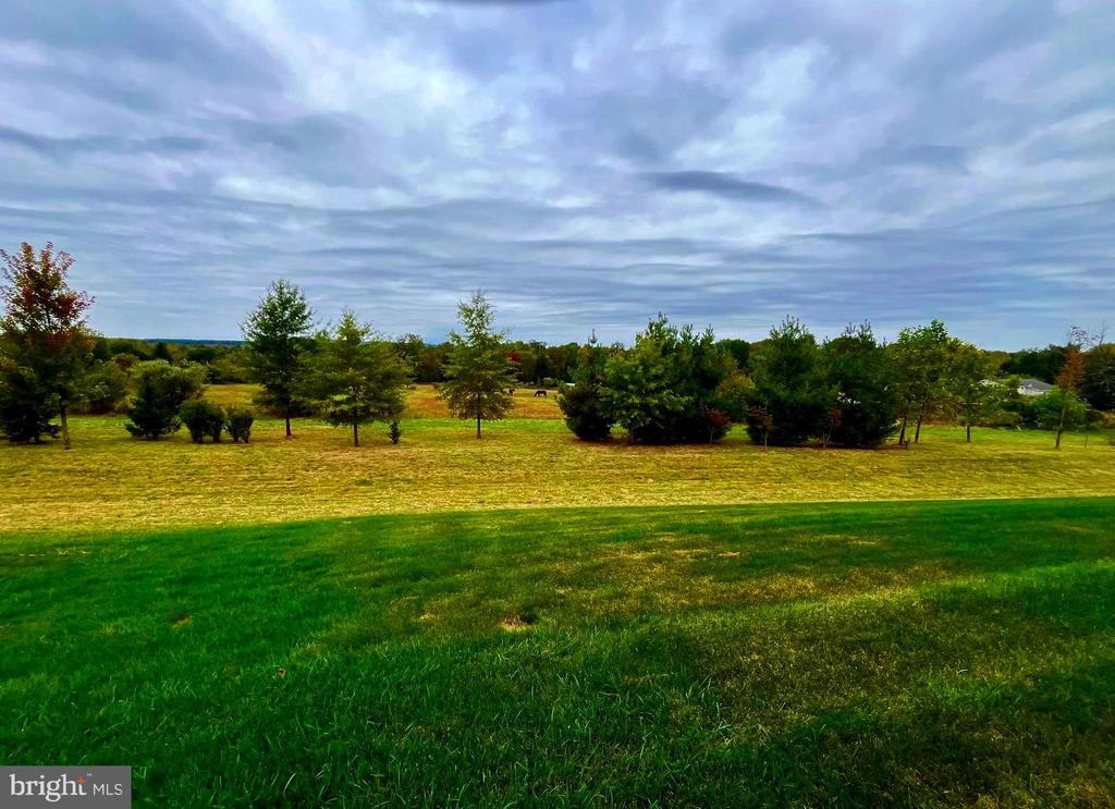 3267 BUSHWOOD DRIVE