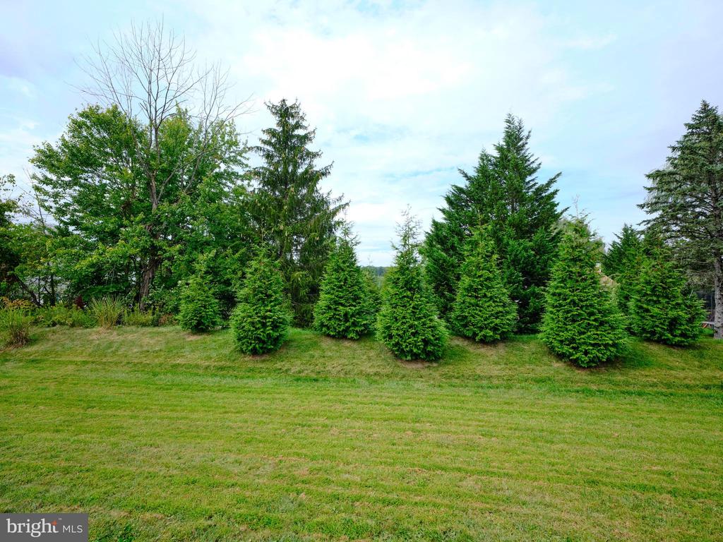 234 CREST DRIVE
