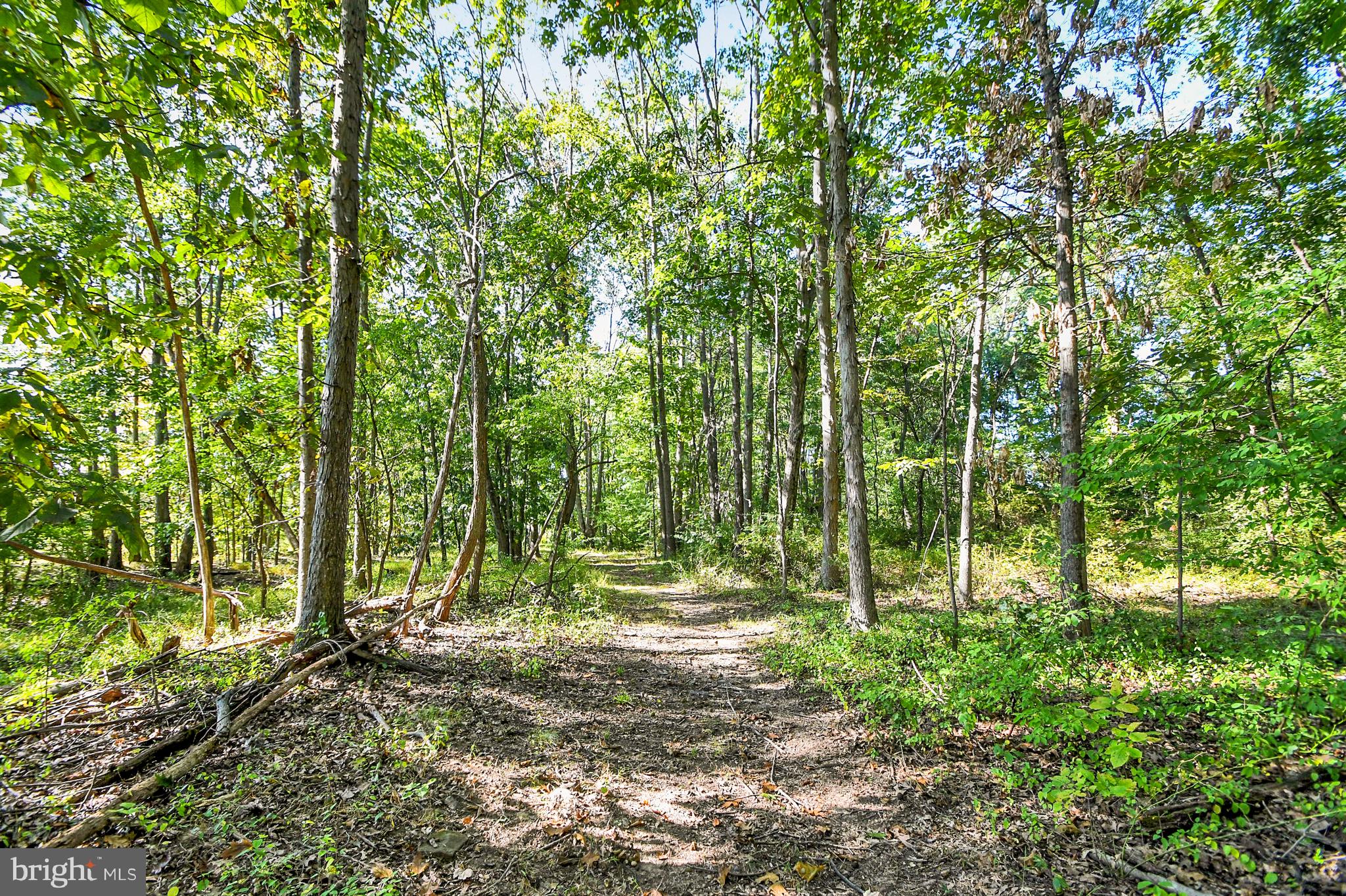 1460 BLUE SCHOOL ROAD