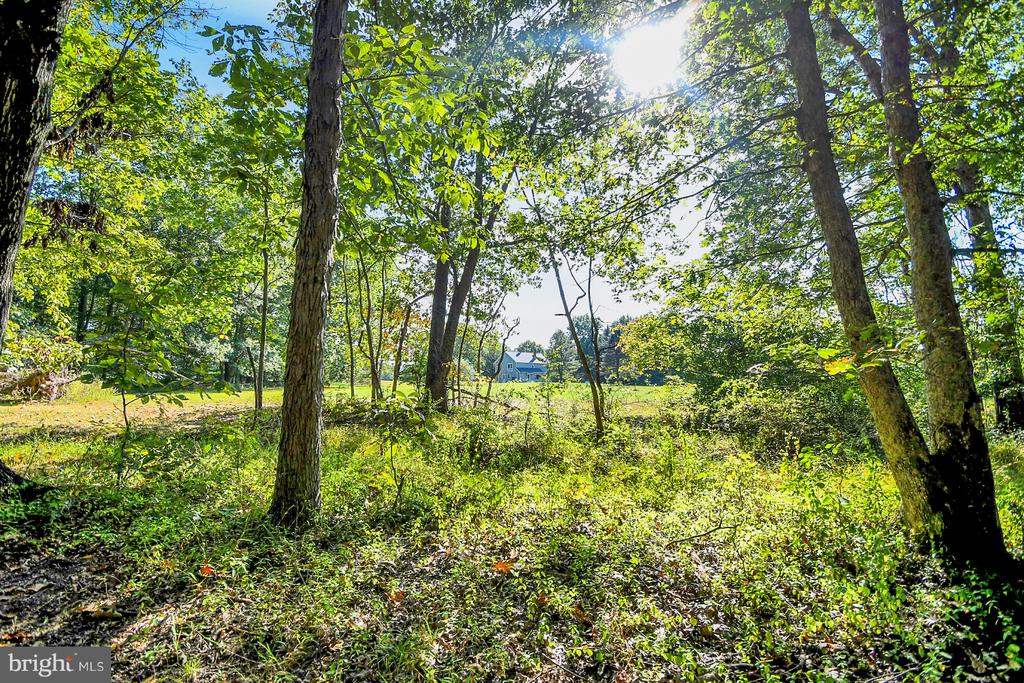 1460 BLUE SCHOOL ROAD