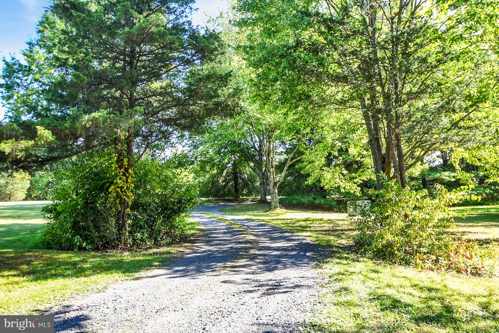 1460 BLUE SCHOOL ROAD