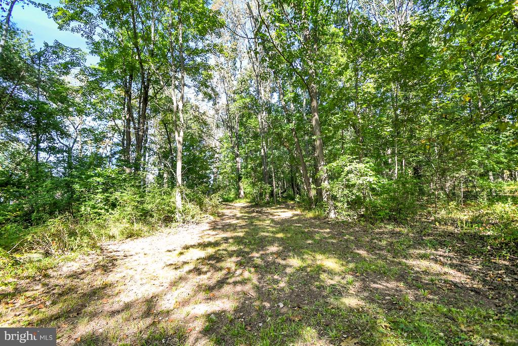 1460 BLUE SCHOOL ROAD