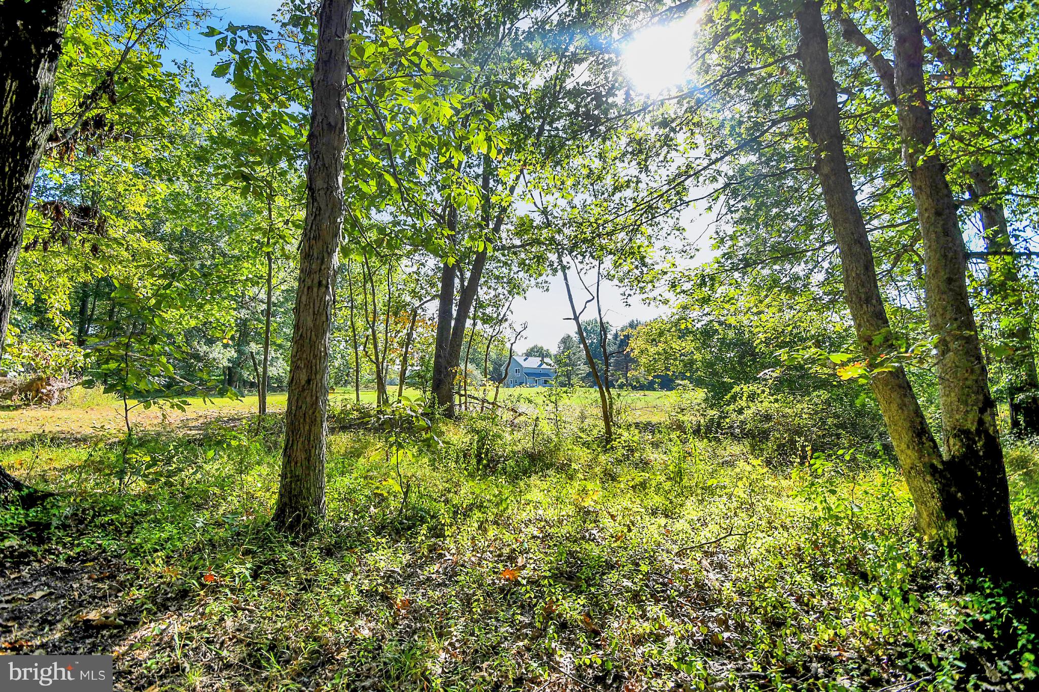 1460 BLUE SCHOOL ROAD